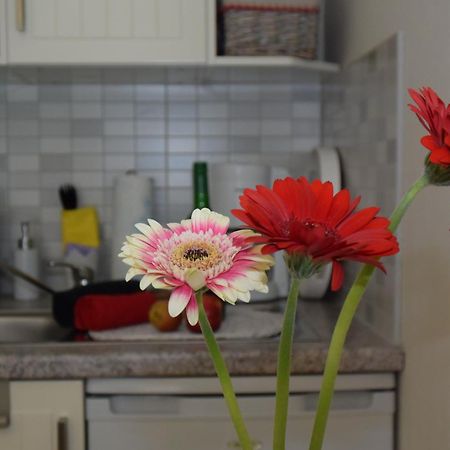 Ferienapartments Urlaub Und Meer Ostseebad Kühlungsborn Quarto foto